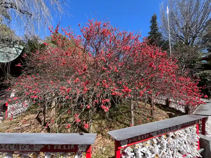 冠稲荷神社(群馬県)
