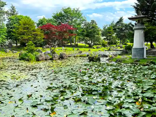 北海道護國神社の自然