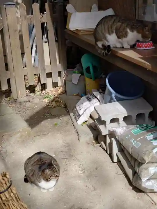 阿邪訶根神社(福島県)