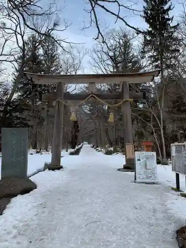 戸隠神社中社の鳥居