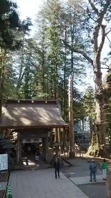 諏訪大社(長野県)