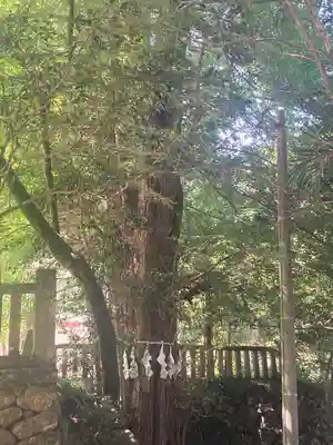 武蔵二宮 金鑚神社(埼玉県)