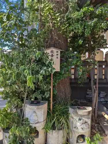 波除神社（波除稲荷神社）(東京都)