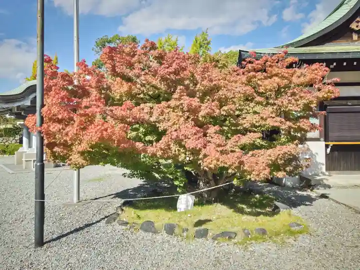 豊國神社の自然