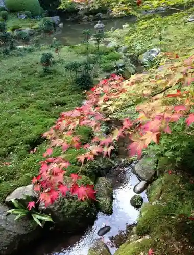 千如寺大悲王院の庭園