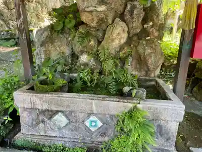 清滝寺(高知県)