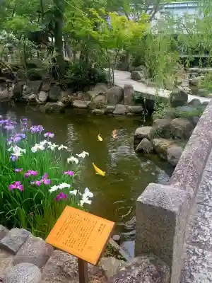 西宮神社の{uncategorized: "未分類", other: "その他", undefined: "問題あり", building: "その他建物", grave: "お墓", sacred_gate: "鳥居", guardian: "狛犬", statue: "像", buddha: "仏像", history: "歴史", nature: "自然", garden: "庭園", animal: "動物", pagoda: "塔", temizu: "手水舎", mountain_gate: "山門・神門", sanctuary: "本殿・本堂", subordinate: "末社・摂社", art: "芸術", scenery: "景色", jizo: "地蔵", ema: "絵馬", goshuin: "御朱印", omikuji: "おみくじ", items: "授与品その他", amulet: "お守り", goshuincho: "御朱印帳", eats: "食事", festival: "お祭り", votive_dance: "神楽", shichigosan: "七五三参", wedding: "結婚式", experience: "体験その他", initially: "初詣", around: "周辺", anti_infection: "感染症対策"}