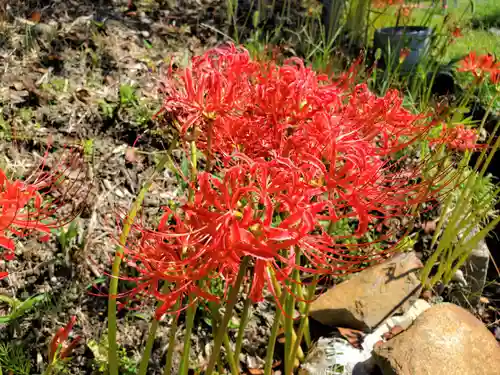 八多神社の自然