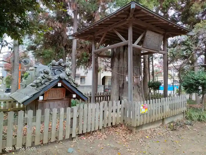 大和田氷川神社(埼玉県)