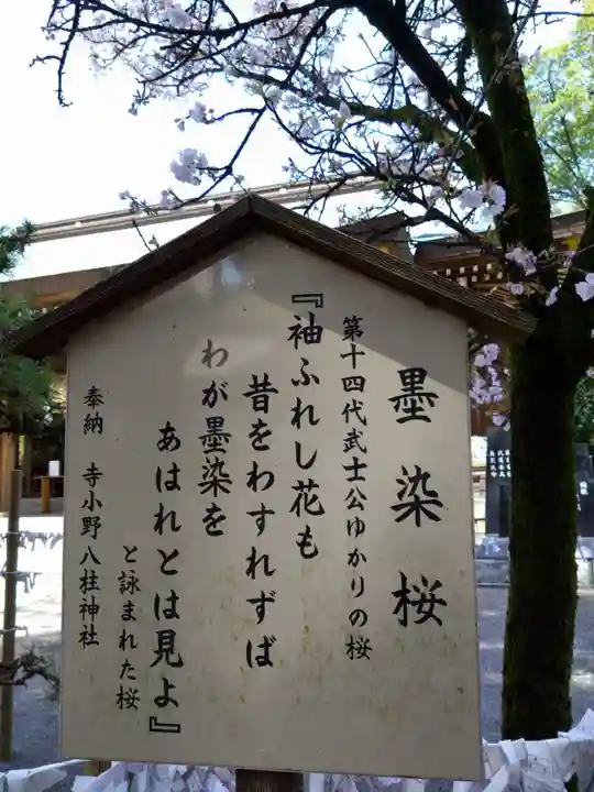 菊池神社(熊本県)