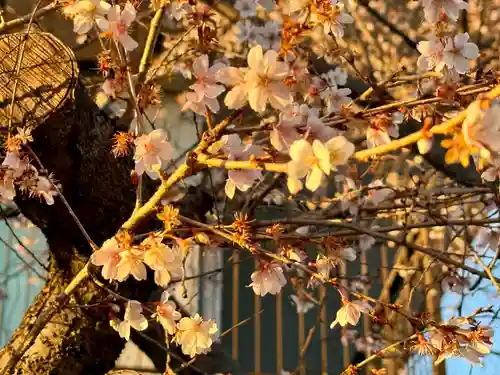 萱津神社(愛知県)