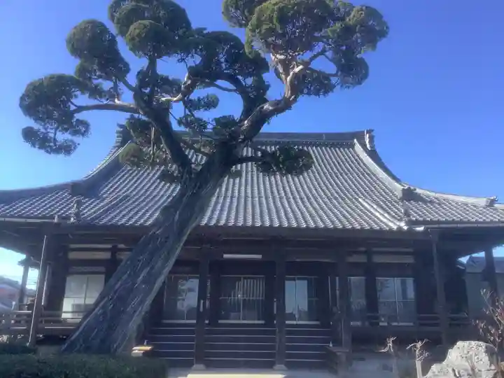 荘厳寺の本殿・本堂
