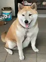 笠䅣稲荷神社(神奈川県)