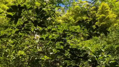 東林院(京都府)