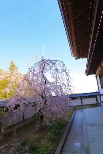 龍峰寺の庭園