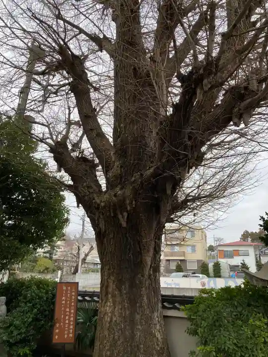 宗仲寺(神奈川県)