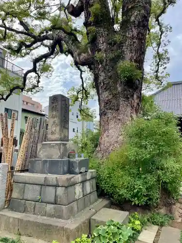 大雄寺(東京都)