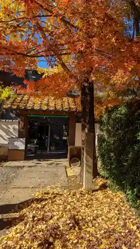 西雲院(京都府)