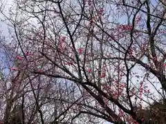 下御霊神社の自然