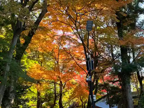 枚岡神社の景色