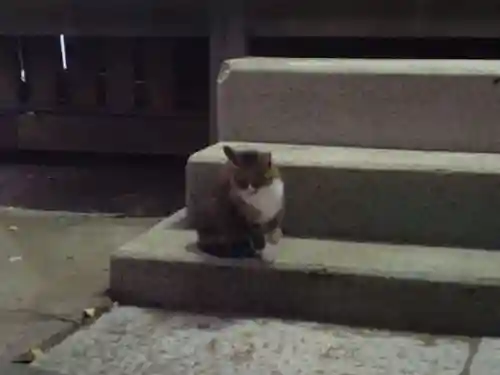 本塩豊受神社の動物