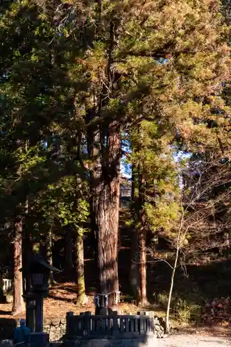 諏訪大社下社春宮(長野県)