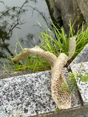 吉備津彦神社(岡山県)