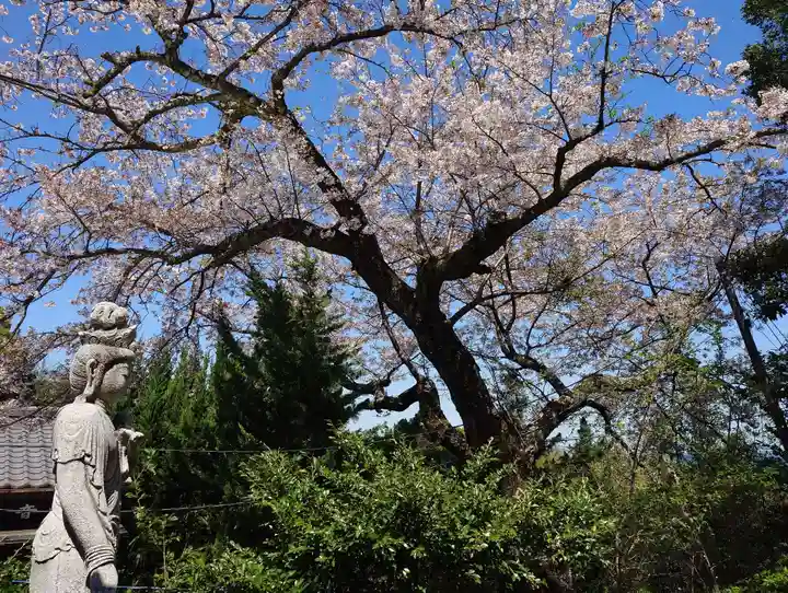 佐奈田霊社(神奈川県)