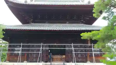 妙心寺（妙心禅寺）の本殿・本堂