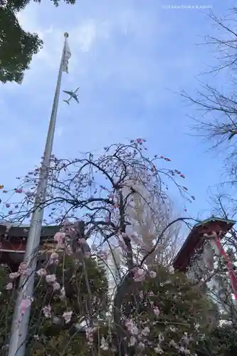 居木神社(東京都)