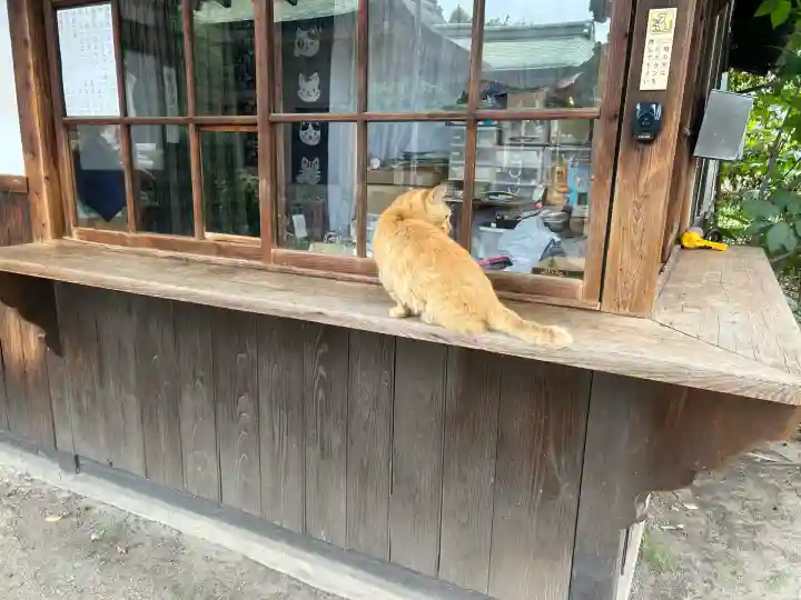 大江神社の動物