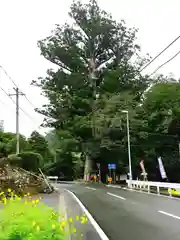 武速神社の周辺