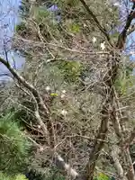 石作神社の自然