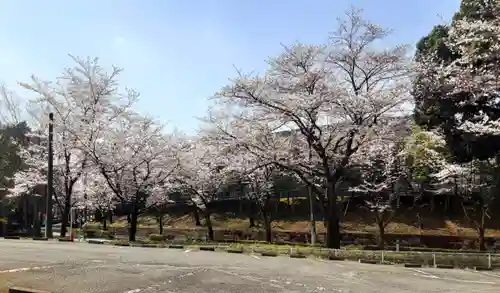 妙櫻寺(東京都)