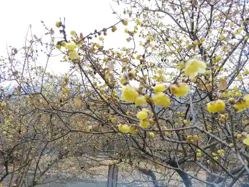 羽黒山神社(栃木県)