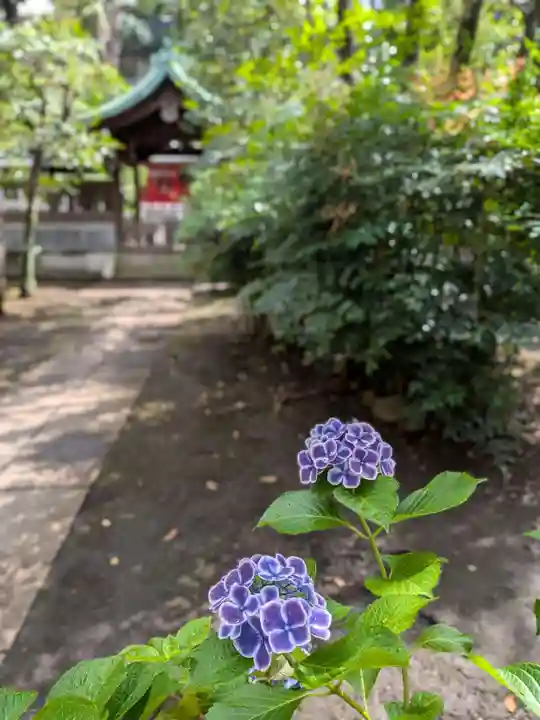 白金氷川神社(東京都)