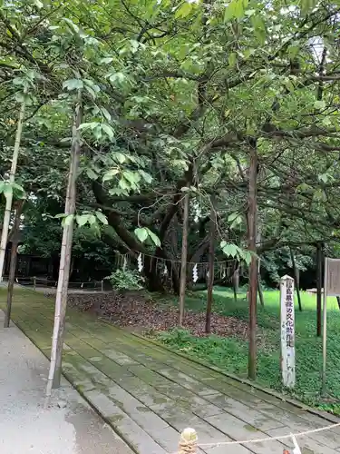 伊佐須美神社(福島県)