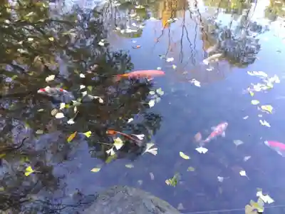 熱田神宮(愛知県)