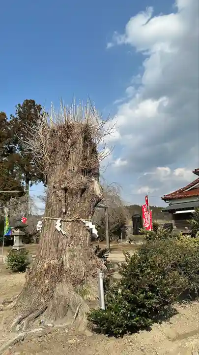 大崎八幡神社(宮城県)