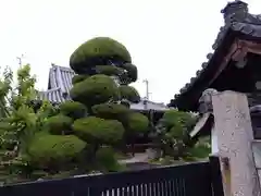 願乗寺(奈良県)