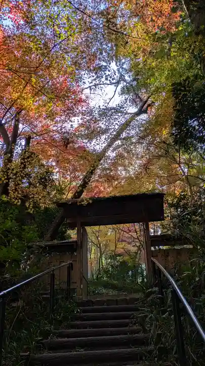 常照寺(京都府)