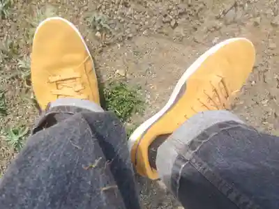 矢部城跡八幡宮(群馬県)