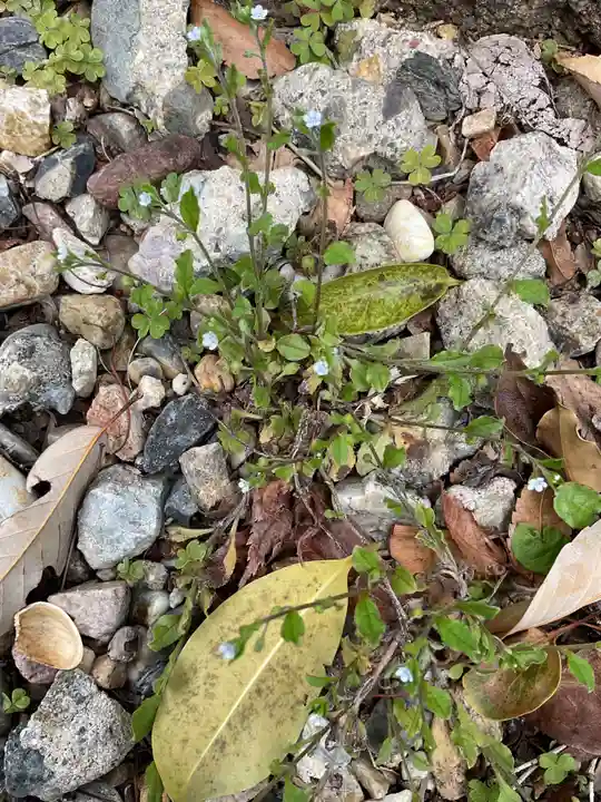 八事山 興正寺(愛知県)