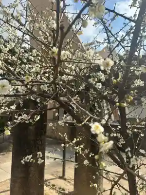 玉造稲荷神社の{uncategorized: "未分類", other: "その他", undefined: "問題あり", building: "その他建物", grave: "お墓", sacred_gate: "鳥居", guardian: "狛犬", statue: "像", buddha: "仏像", history: "歴史", nature: "自然", garden: "庭園", animal: "動物", pagoda: "塔", temizu: "手水舎", mountain_gate: "山門・神門", sanctuary: "本殿・本堂", subordinate: "末社・摂社", art: "芸術", scenery: "景色", jizo: "地蔵", ema: "絵馬", goshuin: "御朱印", omikuji: "おみくじ", items: "授与品その他", amulet: "お守り", goshuincho: "御朱印帳", eats: "食事", festival: "お祭り", votive_dance: "神楽", shichigosan: "七五三参", wedding: "結婚式", experience: "体験その他", initially: "初詣", around: "周辺", anti_infection: "感染症対策"}