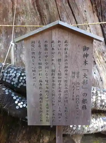 小國神社の建物その他