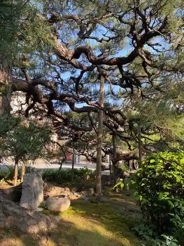 本昌寺の庭園