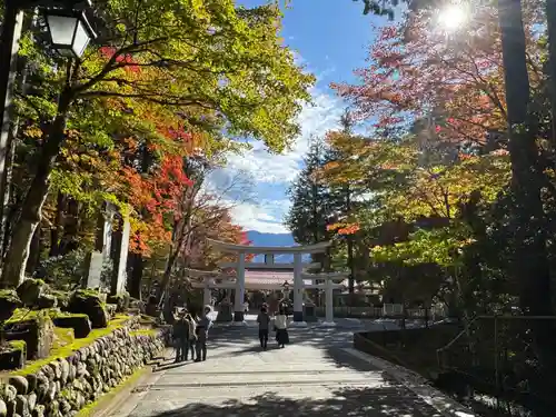 三峯神社(埼玉県)