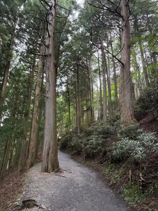 三峯神社(埼玉県)