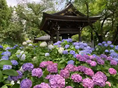 妙楽寺(神奈川県)