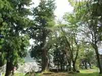 諏訪社(新潟県)